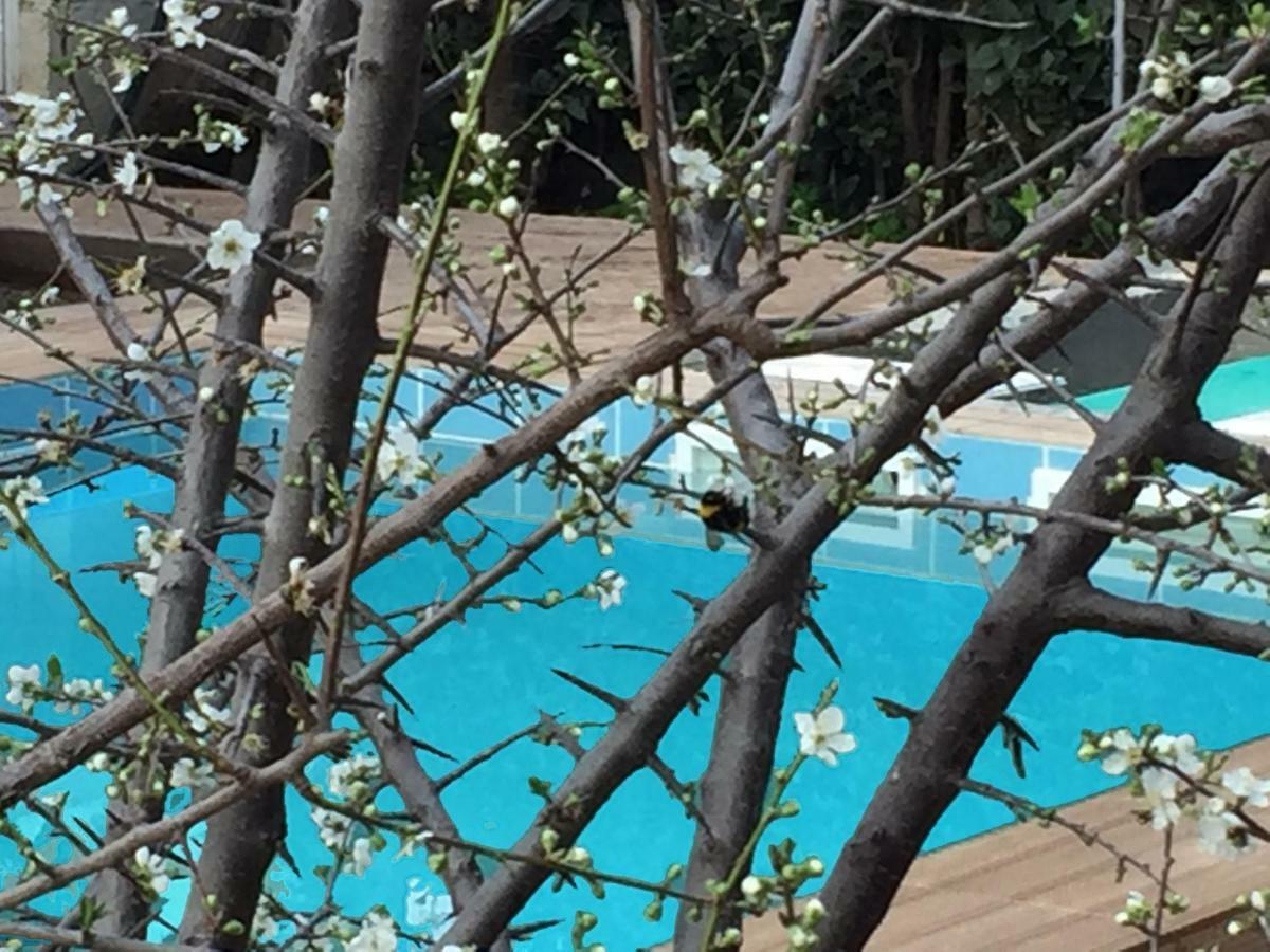 Sunny Rhodes Villa Koskinou  エクステリア 写真