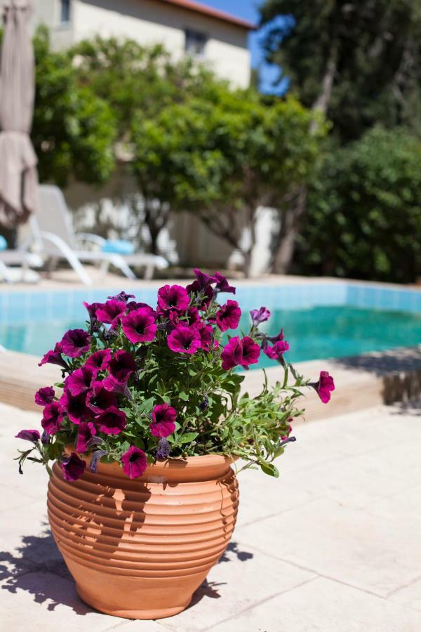 Sunny Rhodes Villa Koskinou  エクステリア 写真