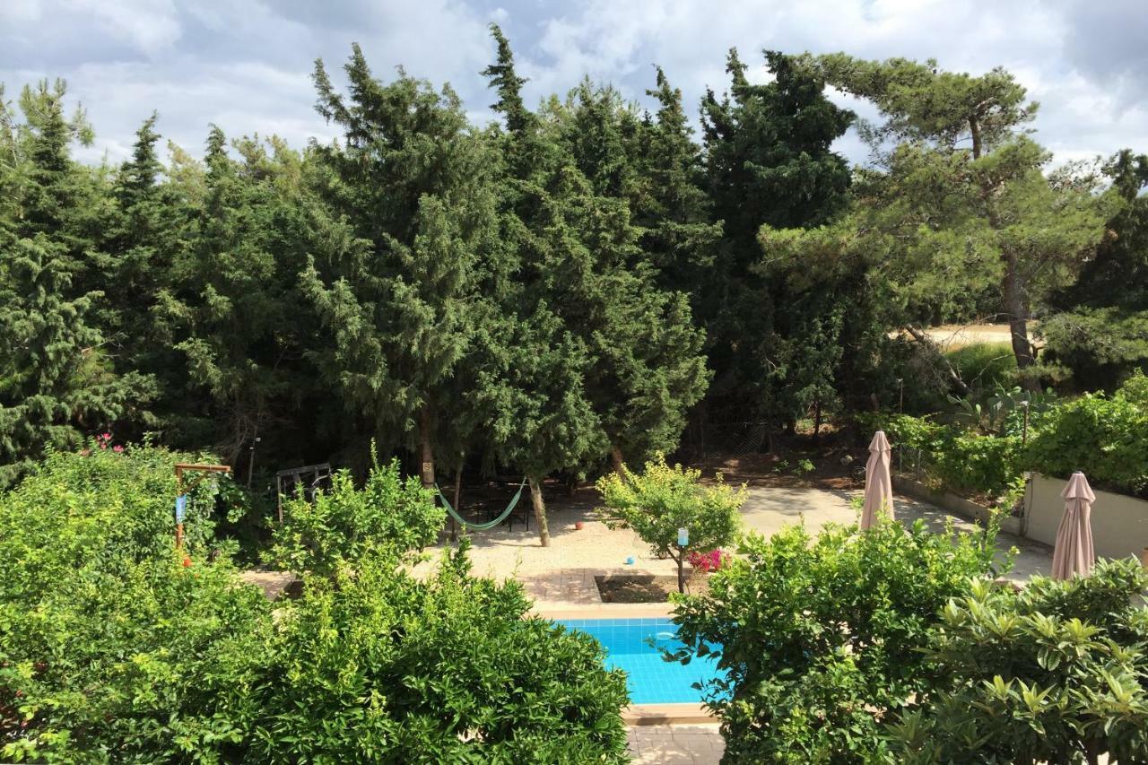 Sunny Rhodes Villa Koskinou  エクステリア 写真